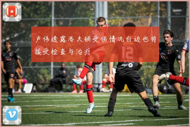 卢伟透露洛夫顿受伤情况白边也将接受检查与治疗