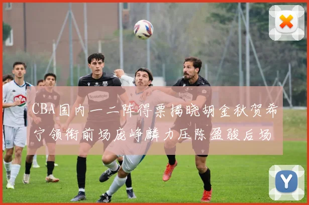 CBA国内一二阵得票揭晓胡金秋贺希宁领衔前场庞峥麟力压陈盈骏后场